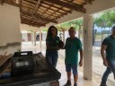 Entrega de mudas