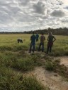 visita