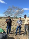 visita