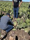 visita