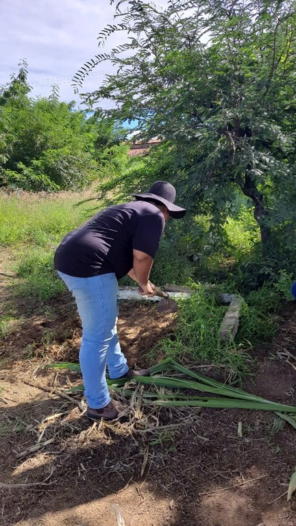 Campo agrostológico 