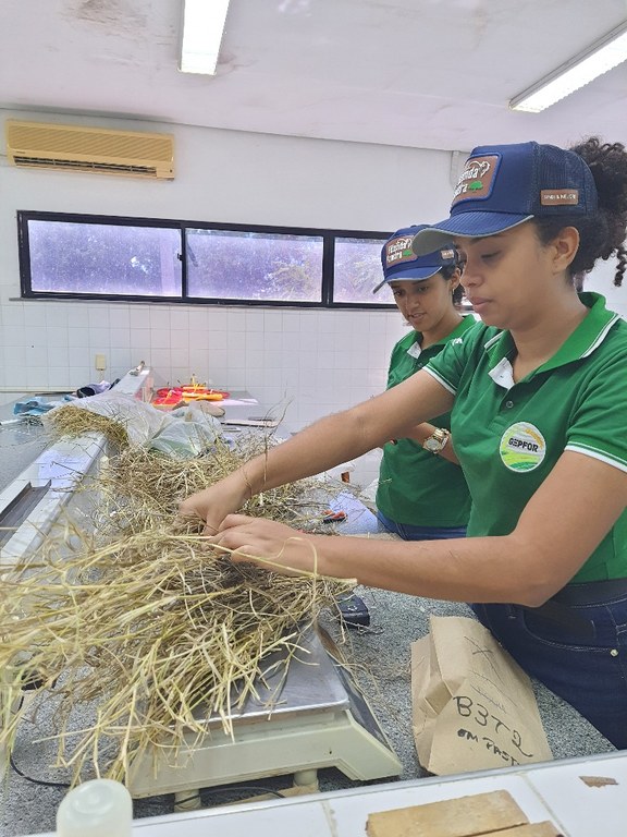 laboratório 