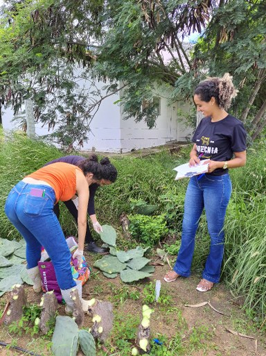 projeto