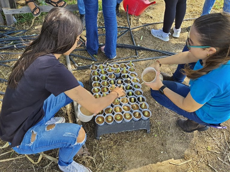 projetos