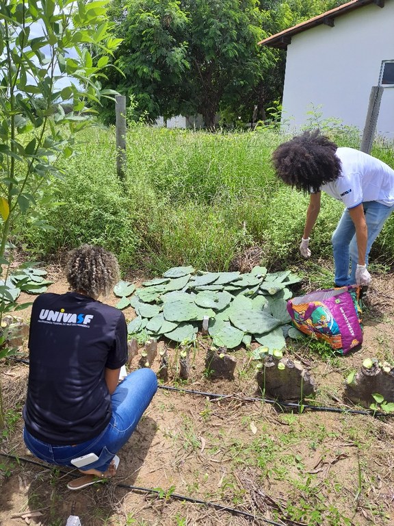 projetos