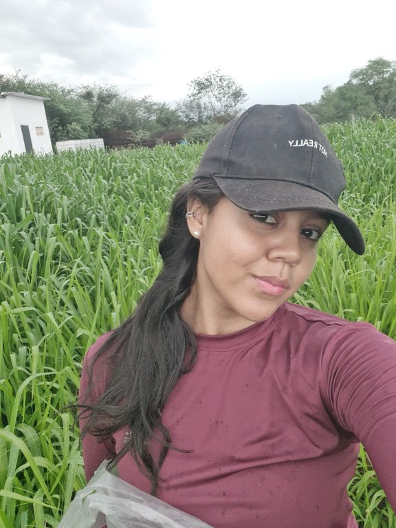 Visita