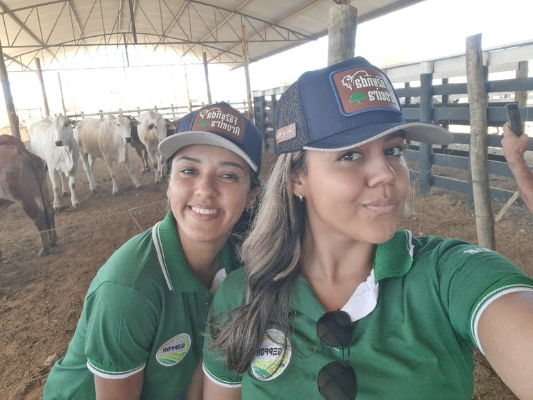 visita