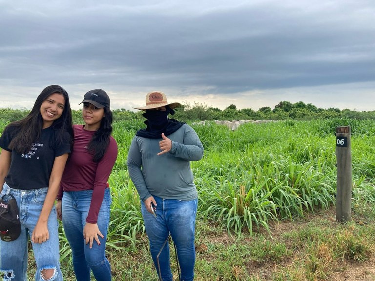 visita