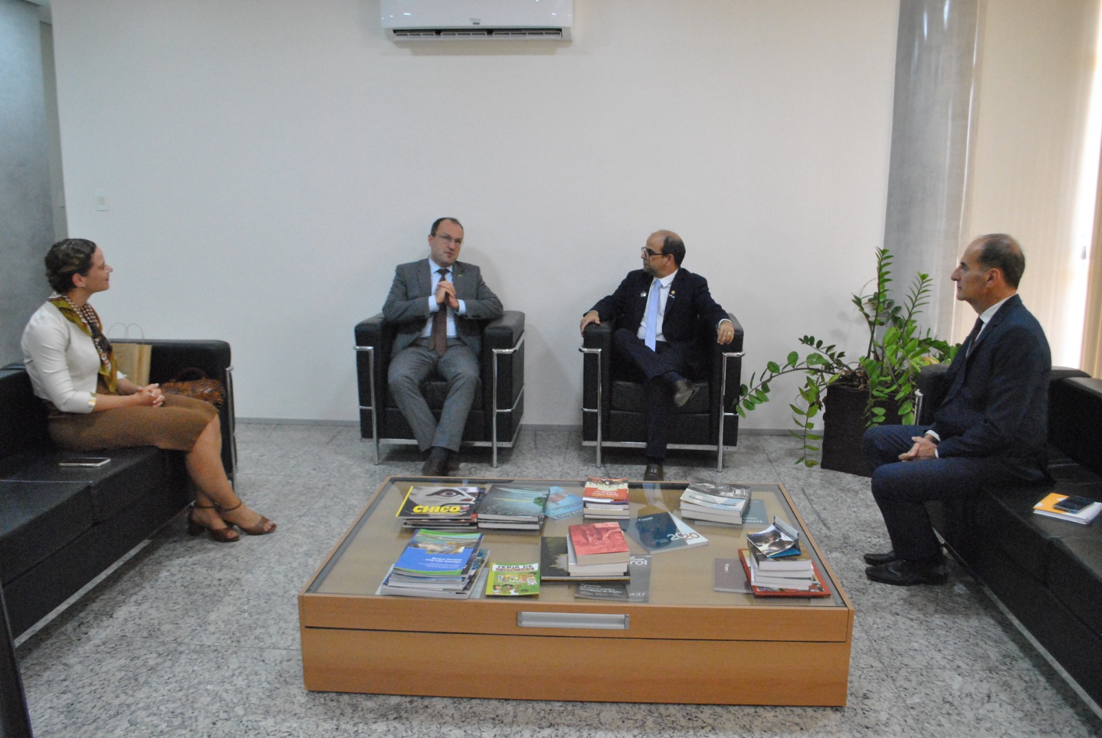 Embaixador da Hungria