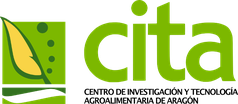 13-logo-cita