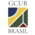 logo-gcub