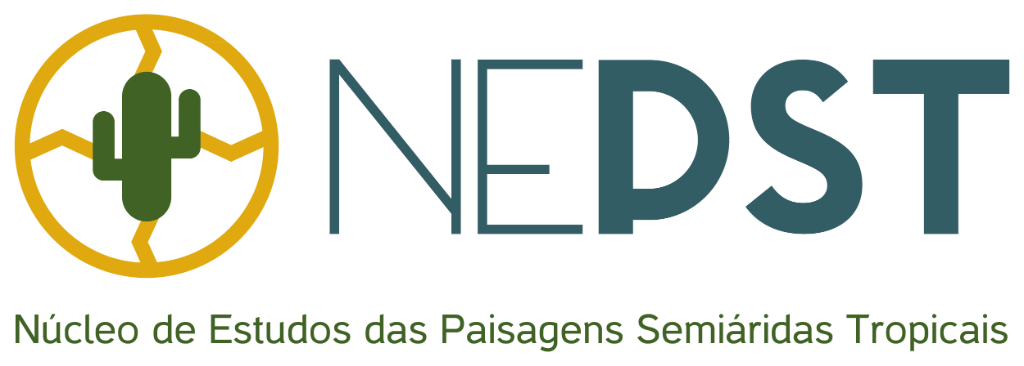 NEPST logo 2.png