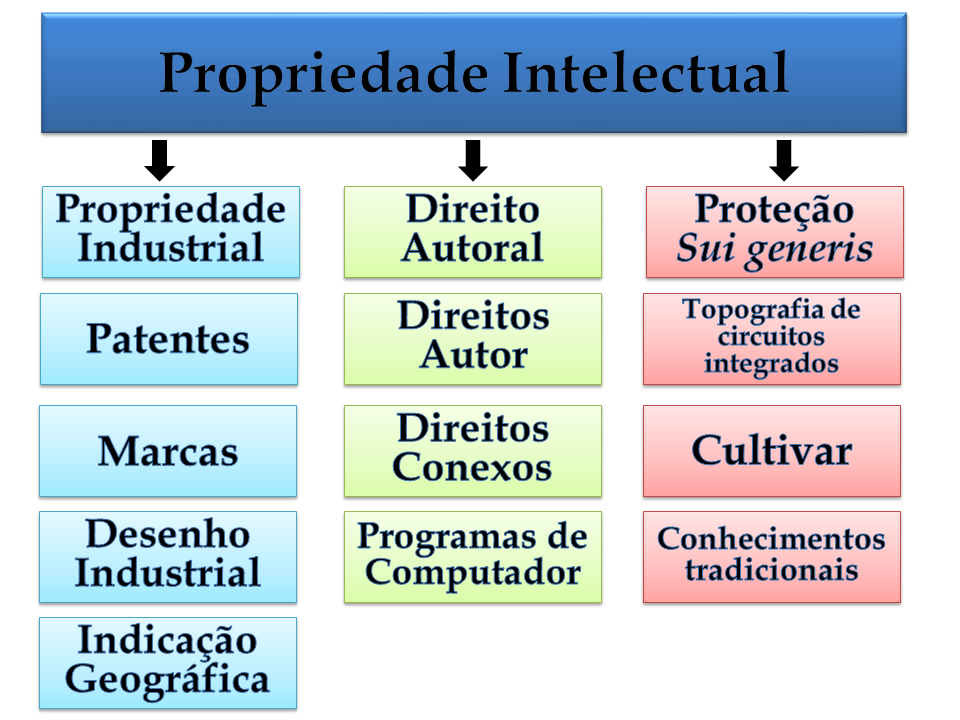 Propriedade Intelectual site.png