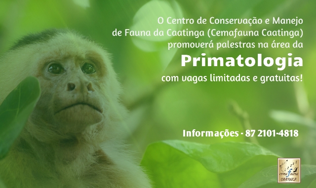 palestras primatologia.jpg