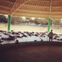 Prática de ioga do Projeto Medita Vale no Parque Municipal Josepha Coelho