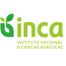 inca.jpg
