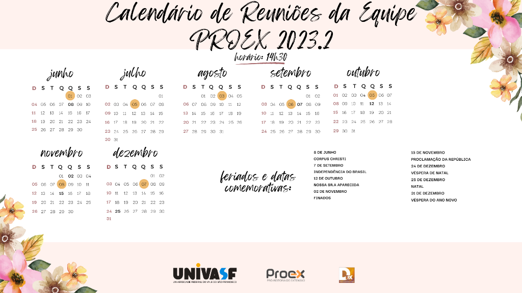 Calendário 2023 de reuniões equipe proex 2023