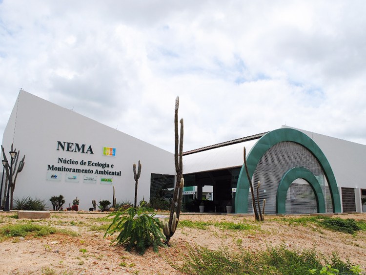 Núcleo de Ecologia e Monitoramento Ambiental (NEMA) - Campus Ciências Agrárias 