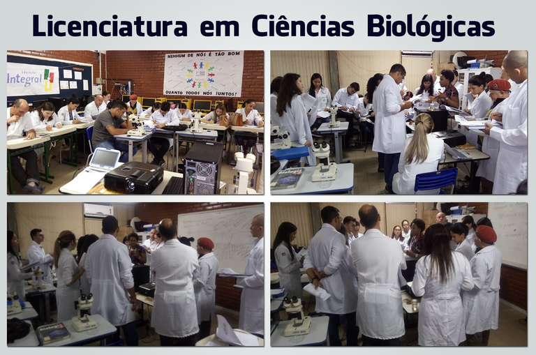 aula prática ciencias biologicas 