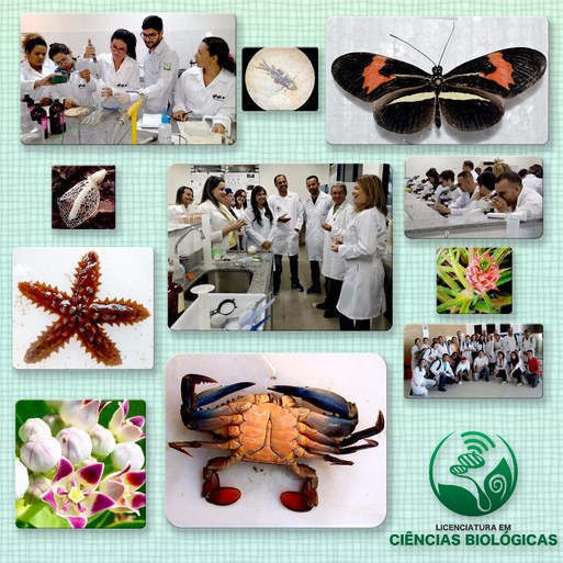 Banner Ciencias Biologicas.jpg