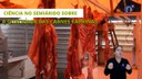 Ciência no Semiárido sobre a qualidade das carnes caprinas