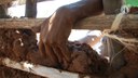 Comunidade mantém tradição do amassa barro