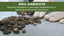 Meu ambiente - Projeto preserva e distribui sementes de 77 espécies nativas da caatinga