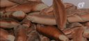 Pão de lenha é tema de concurso na cidade de Uauá