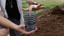 Projeto da Univasf reutiliza plástico no cultivo de plantas da caatinga