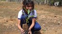 Projeto incentiva plantio e preservação da caatinga